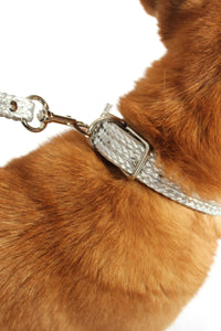 Larger Dog Collar & Leash Set Accessories Marie France Van Damme 