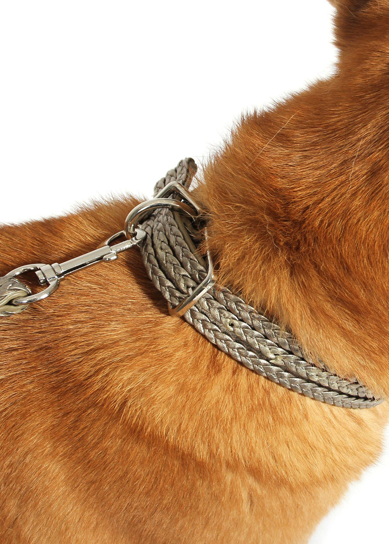Larger Dog Collar & Leash Set Accessories Marie France Van Damme 