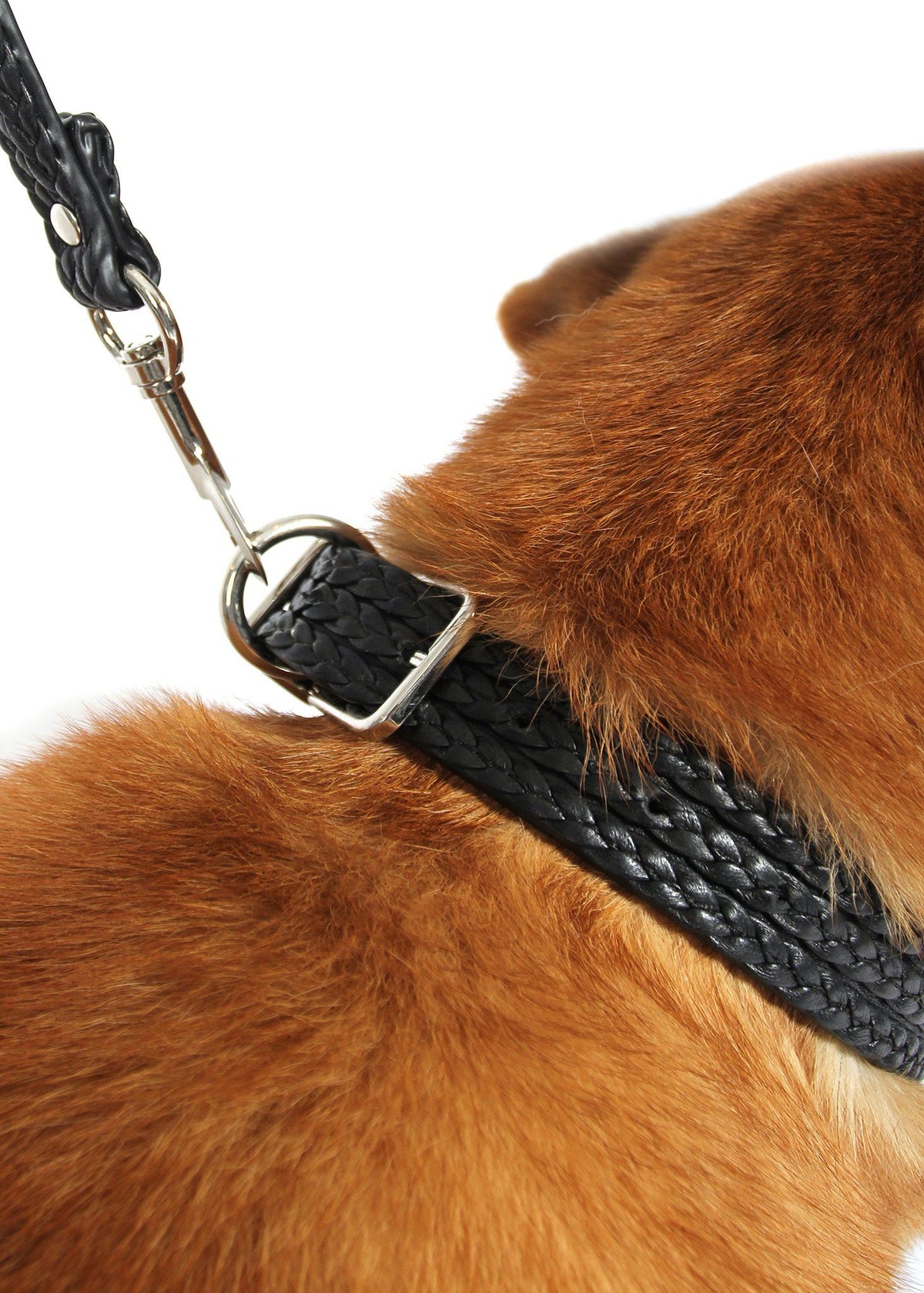 Larger Dog Collar & Leash Set Accessories Marie France Van Damme 