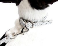 Smaller Dog Collar & Leash Set Accessories Marie France Van Damme 